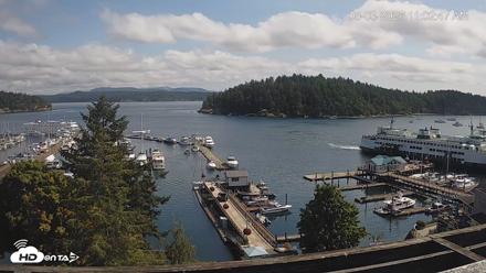 Friday Harbor - San Juan Island Live Webcam - Aug 3, 2026, 11:03am PDT