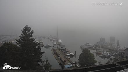 Friday Harbor - San Juan Island Live Webcam - Aug 18, 2026, 8:55am PDT