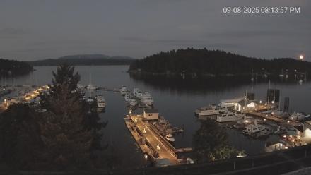 Snapshot Preview Image
