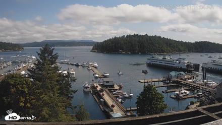 Friday Harbor - San Juan Island Live Webcam - Aug 3, 2026, 11:12am PDT