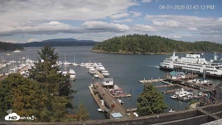 Friday Harbor - San Juan Island Live Webcam - Aug 1, 2026, 3:44pm PDT