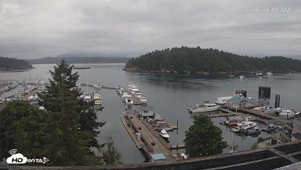 Friday Harbor - San Juan Island Live Webcam - Jul 1, 2026, 6:04am PDT