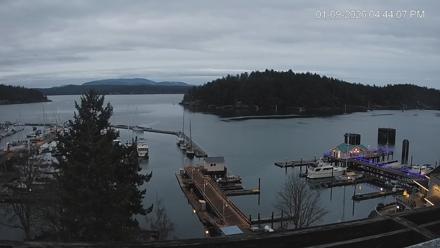 Friday Harbor - San Juan Island Live Webcam - Jan 9, 2026, 4:44pm PST