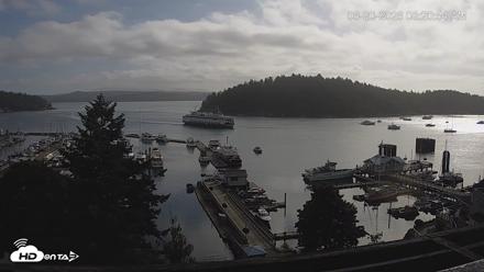 Friday Harbor - San Juan Island Live Webcam - Jun 20, 2026, 8:21am PDT
