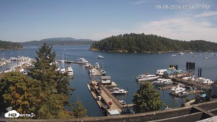 Friday Harbor - San Juan Island Live Webcam - Aug 8, 2026, 12:54pm PDT