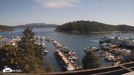 Friday Harbor - San Juan Island Live Webcam - Aug 11, 2026, 11:15am PDT