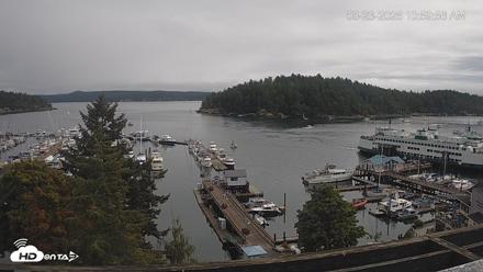 Friday Harbor - San Juan Island Live Webcam - Aug 23, 2026, 11:00am PDT