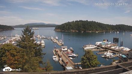 Friday Harbor - San Juan Island Live Webcam - Aug 19, 2026, 1:31pm PDT
