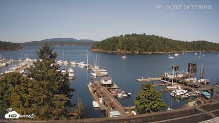 Friday Harbor - San Juan Island Live Webcam - Jul 19, 2026, 4:38pm PDT