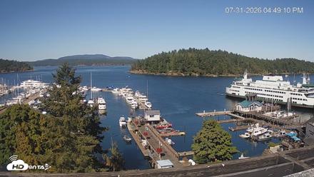 Friday Harbor - San Juan Island Live Webcam - Jul 31, 2026, 4:49pm PDT