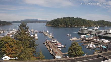 Friday Harbor - San Juan Island Live Webcam - Aug 19, 2026, 1:49pm PDT