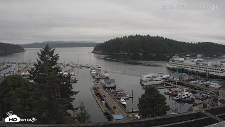 Friday Harbor - San Juan Island Live Webcam - Jun 30, 2026, 7:38am PDT