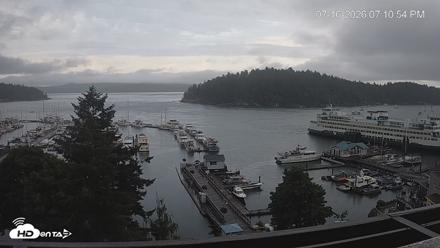 Friday Harbor - San Juan Island Live Webcam - Jul 16, 2026, 7:11pm PDT