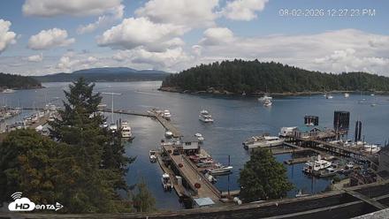 Friday Harbor - San Juan Island Live Webcam - Aug 2, 2026, 12:28pm PDT