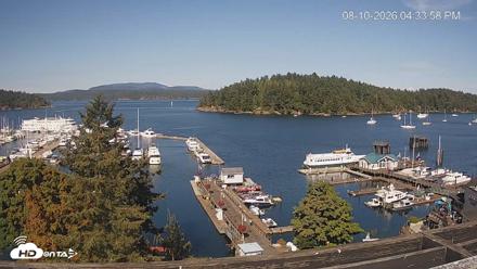Friday Harbor - San Juan Island Live Webcam - Aug 10, 2026, 4:34pm PDT