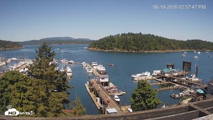 Friday Harbor - San Juan Island Live Webcam - Jun 19, 2026, 2:58pm PDT