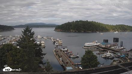 Friday Harbor - San Juan Island Live Webcam - Jul 28, 2026, 4:43pm PDT