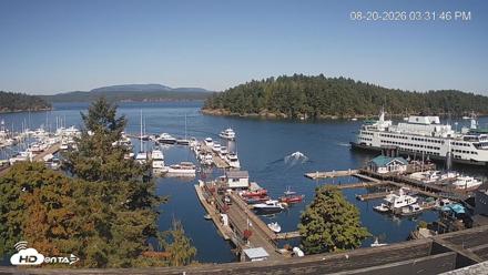 Friday Harbor - San Juan Island Live Webcam - Aug 20, 2026, 3:32pm PDT