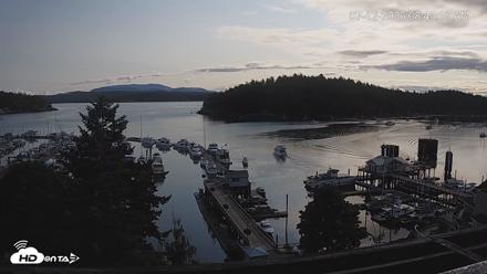 Friday Harbor - San Juan Island Live Webcam - Jul 12, 2026, 8:46am PDT