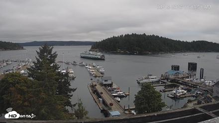 Friday Harbor - San Juan Island Live Webcam - Aug 15, 2026, 11:14am PDT