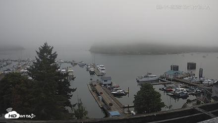 Friday Harbor - San Juan Island Live Webcam - Aug 14, 2026, 7:18am PDT