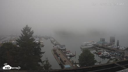 Friday Harbor - San Juan Island Live Webcam - Aug 11, 2026, 6:13am PDT