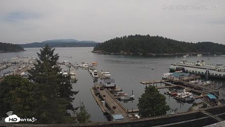 Friday Harbor - San Juan Island Live Webcam - Jul 20, 2026, 2:36pm PDT