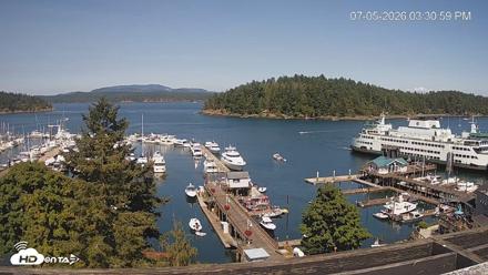 Friday Harbor - San Juan Island Live Webcam - Jul 5, 2026, 3:31pm PDT