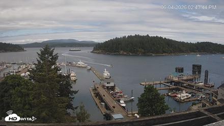 Friday Harbor - San Juan Island Live Webcam - Jun 4, 2026, 2:44pm PDT