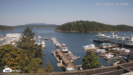 Friday Harbor - San Juan Island Live Webcam - Aug 3, 2026, 2:15pm PDT