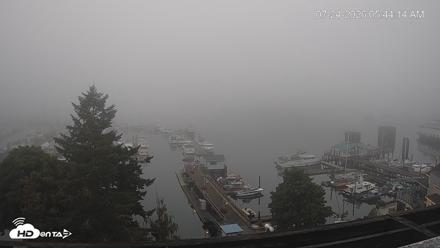 Friday Harbor - San Juan Island Live Webcam - Jul 24, 2026, 5:45am PDT