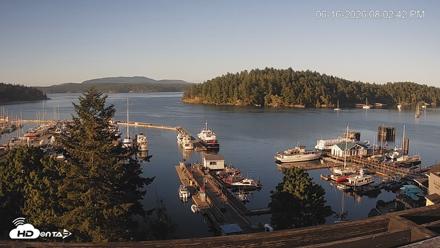 Friday Harbor - San Juan Island Live Webcam - Jun 16, 2026, 8:03pm PDT