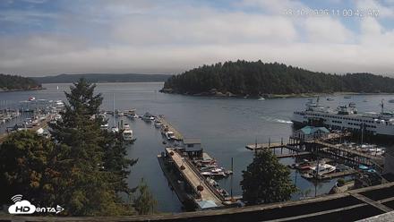 Friday Harbor - San Juan Island Live Webcam - Aug 10, 2026, 11:01am PDT