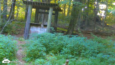 Off-Exhibit Red Wolves Live Cam | Wolf Center - Jul 1, 2026, 7:49am EDT