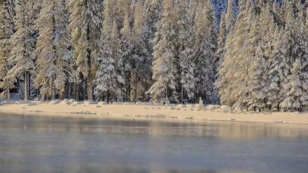 Donner Lake and Village Live Webcam - Dec 27, 2025, 9:04am PST