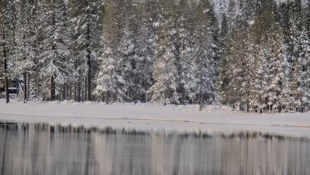 Donner Lake and Village Live Webcam - Jan 6, 2026, 7:30am PST