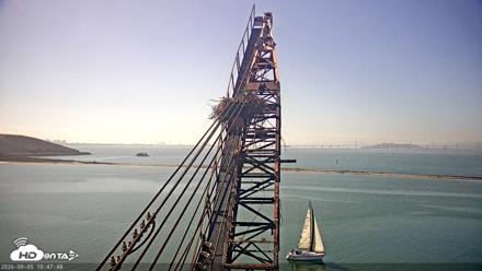 San Francisco Bay Osprey Nest Live Webcam - Sep 5, 2026, 10:48am PDT
