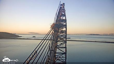 San Francisco Bay Osprey Nest Live Webcam - Sep 8, 2026, 7:00am PDT