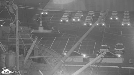 San Francisco Bay Osprey Nest Live Webcam - Jun 16, 2026, 5:23am PDT