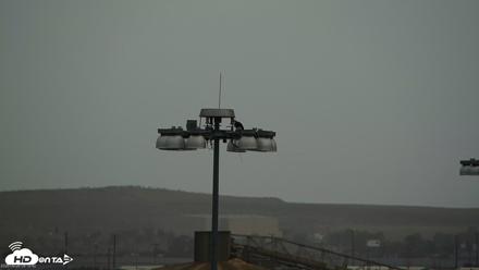 San Francisco Bay Osprey Nest Live Webcam - Sep 26, 2026, 8:22am PDT