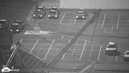 San Francisco Bay Osprey Nest Live Webcam - Jun 28, 2026, 4:51am PDT
