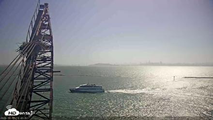 San Francisco Bay Osprey Nest Live Webcam - Oct 11, 2026, 1:46pm PDT