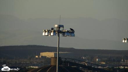 San Francisco Bay Osprey Nest Live Webcam - Oct 15, 2026, 5:59pm PDT