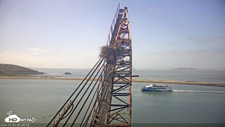 San Francisco Bay Osprey Nest Live Webcam - Jul 2, 2026, 9:41am PDT