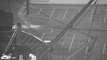 San Francisco Bay Osprey Nest Live Webcam - Oct 13, 2026, 2:04am PDT