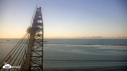 San Francisco Bay Osprey Nest Live Webcam - Oct 7, 2026, 7:52am PDT