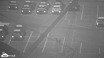 San Francisco Bay Osprey Nest Live Webcam - Aug 5, 2026, 12:18am PDT