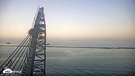 San Francisco Bay Osprey Nest Live Webcam - Sep 29, 2026, 7:13am PDT