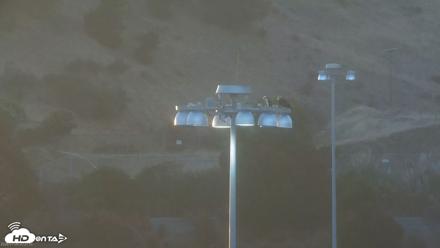 San Francisco Bay Osprey Nest Live Webcam - Jul 6, 2026, 8:26pm PDT