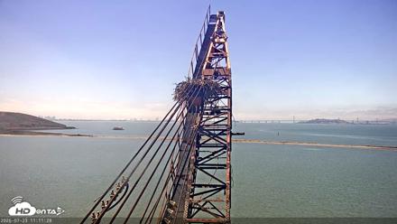 San Francisco Bay Osprey Nest Live Webcam - Jul 23, 2026, 11:13am PDT
